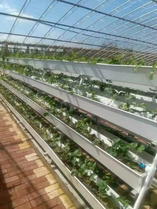 grow system indoor